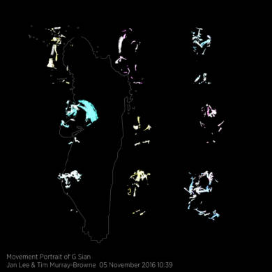 Movement Portrait of G Sian by Jan Lee and Tim Murray-Browne
